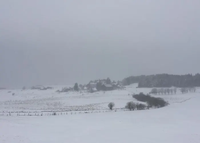 Gasthof Au Comptoir D'aubrac Aubrac